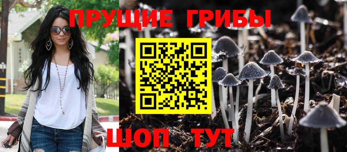 Галлюциногенные грибы MAGIC MUSHROOMS Славянск-на-Кубани